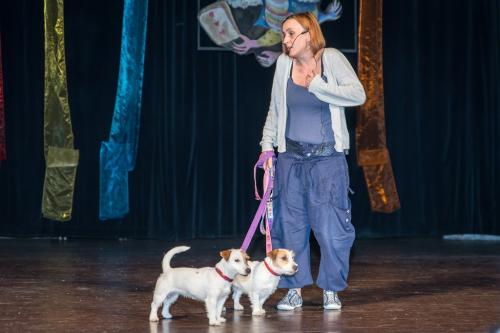 Určitě přijde i kouzelník 29. 5. 2015